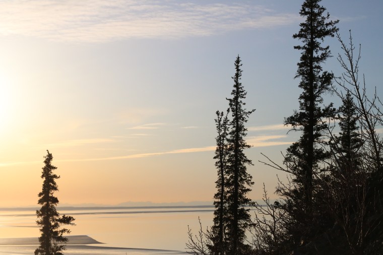 Photo by Kelly Ireland. 