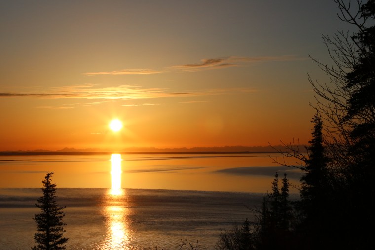 Photo by Kelly Ireland. 