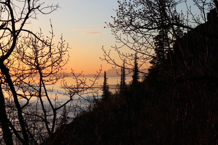 Photo by Kelly Ireland. 