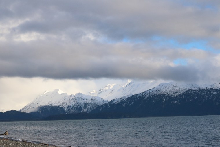 Photo by Kelly Ireland.