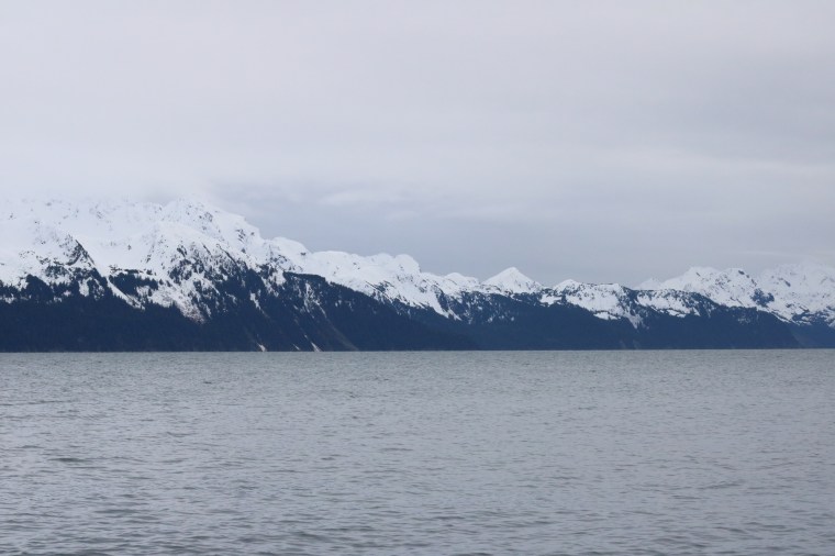 Seward, Alaska. Photo by Kelly Ireland. 