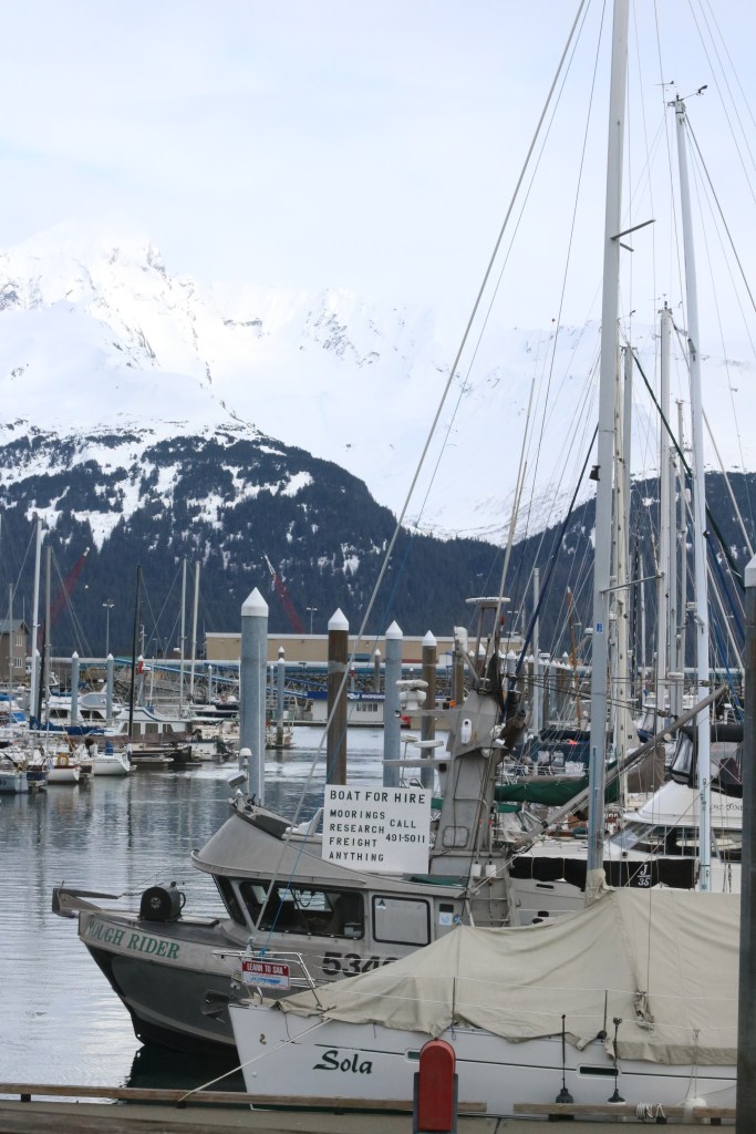 Boat for hire. Photo by Kelly Ireland. 