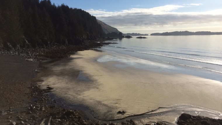 Photo by Ashleigh Roe.