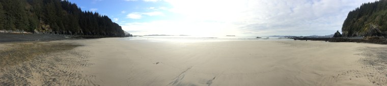 Photo by Ashleigh Roe.