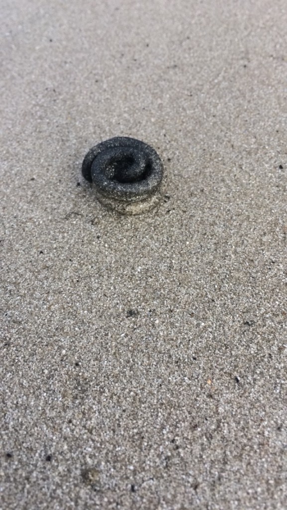 Photo by Ashleigh Roe.