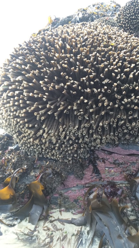 Photo by Ashleigh Roe.