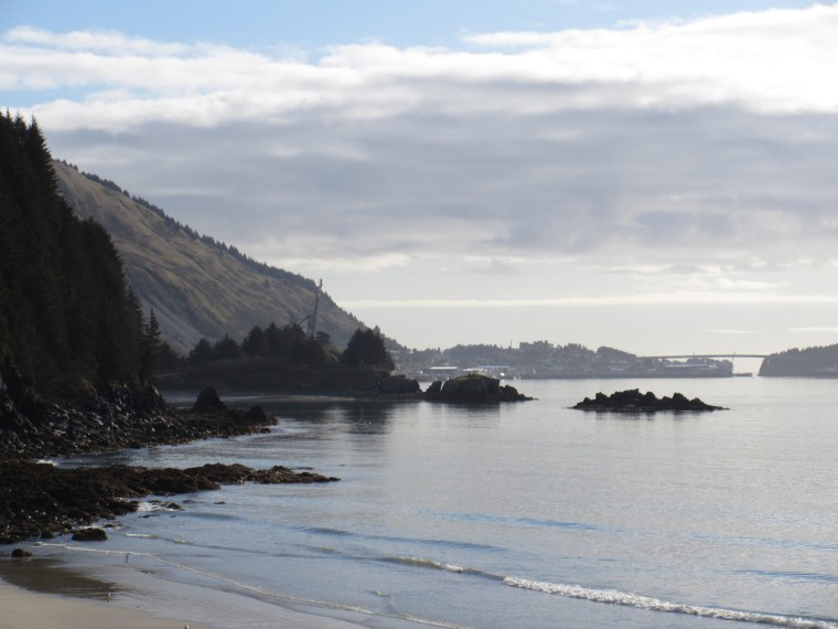 Photo by Ashleigh Roe.