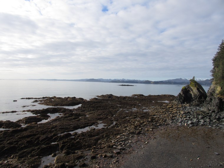 Photo by Ashleigh Roe.