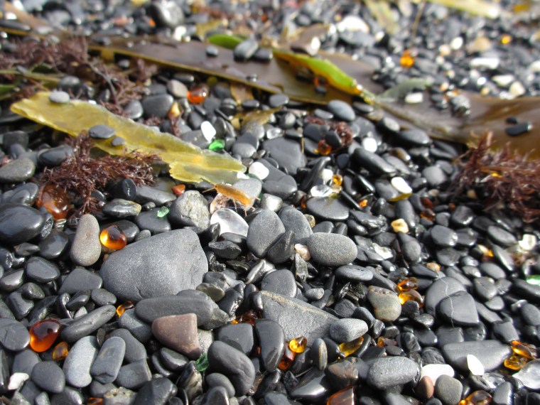 Upper Boyscout Beach treasures. Photo by Ashleigh Roe. 